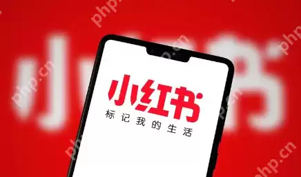 小红书笔记申诉功能如何使用