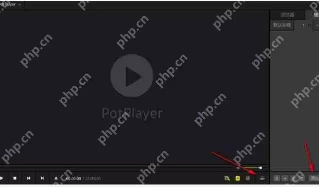 potplayer怎么逐帧播放视频-potplayer逐帧播放视频的方法