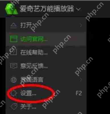 爱奇艺万能播放器怎么更改输出模式？-爱奇艺万能播放器更改输出模式的方法