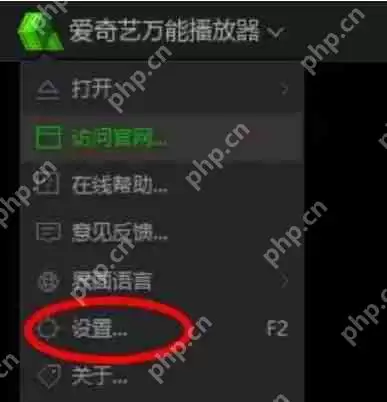 爱奇艺万能播放器怎么更改输出模式？-爱奇艺万能播放器更改输出模式的方法
