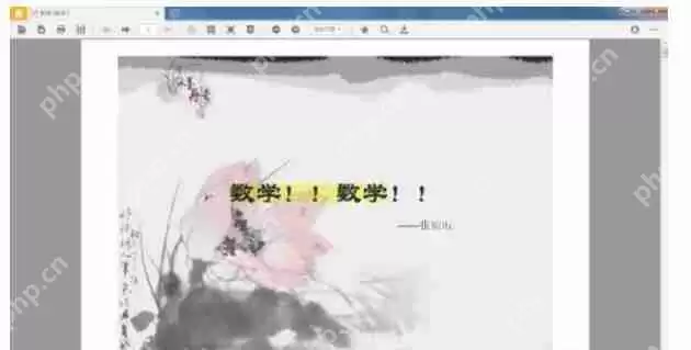 稻壳阅读器怎么幻灯片播放-稻壳阅读器幻灯片播放的方法