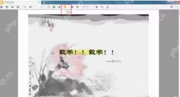 稻壳阅读器怎么幻灯片播放-稻壳阅读器幻灯片播放的方法