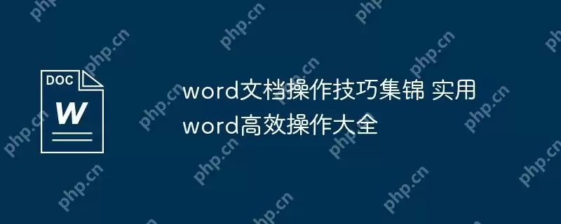 word文档操作技巧集锦 实用word高效操作大全