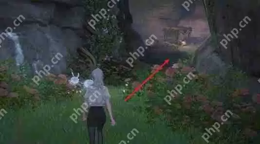 无限暖暖泡泡飘游时Day3全收集攻略：隐藏彩蛋与效率手册