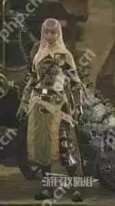 怪物猎人荒野斗技大会有哪些奖励-怪物猎人荒野斗技大会防具图鉴介绍