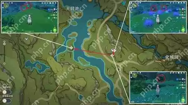 原神须弥草晶蝶在哪采集-须弥草晶蝶收集线路推荐