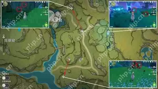 原神须弥草晶蝶在哪采集-须弥草晶蝶收集线路推荐