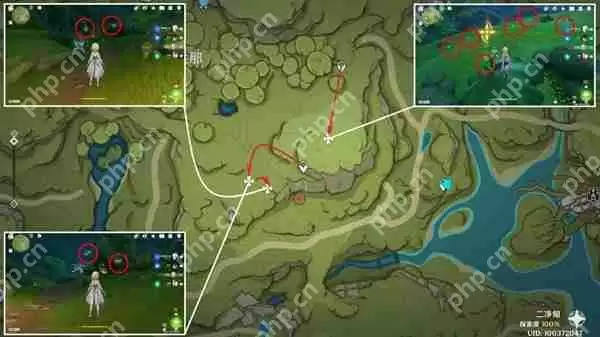 原神须弥草晶蝶在哪采集-须弥草晶蝶收集线路推荐