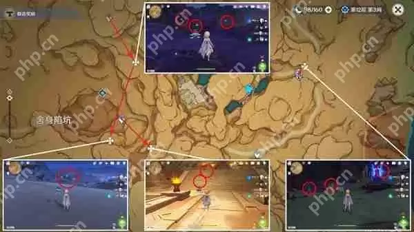 原神须弥草晶蝶在哪采集-须弥草晶蝶收集线路推荐