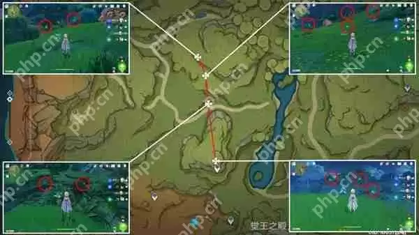 原神须弥草晶蝶在哪采集-须弥草晶蝶收集线路推荐