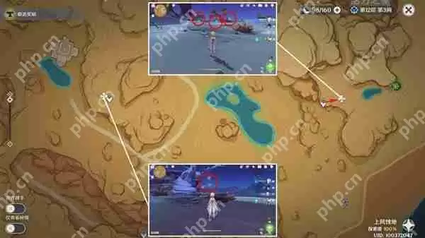 原神须弥草晶蝶在哪采集-须弥草晶蝶收集线路推荐