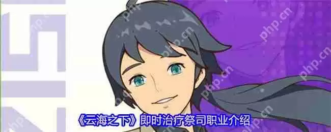 云海之下祭司职业全面解析：后排治疗核心技能与团队搭配指南