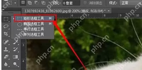 ps怎么为图片加框 图片加框操作步骤分享
