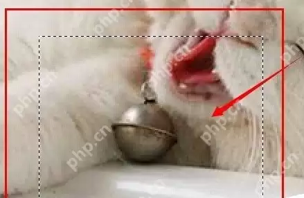 ps怎么为图片加框 图片加框操作步骤分享