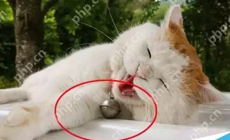 ps怎么为图片加框 图片加框操作步骤分享