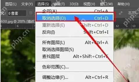 ps怎么为图片加框 图片加框操作步骤分享