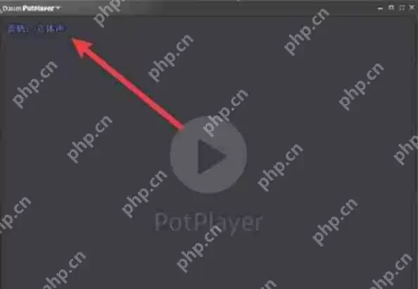potplayer怎么设置立体声-potplayer设置立体声的方法