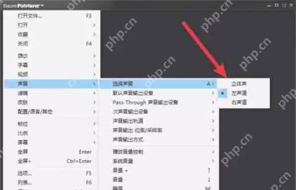 potplayer怎么设置立体声-potplayer设置立体声的方法