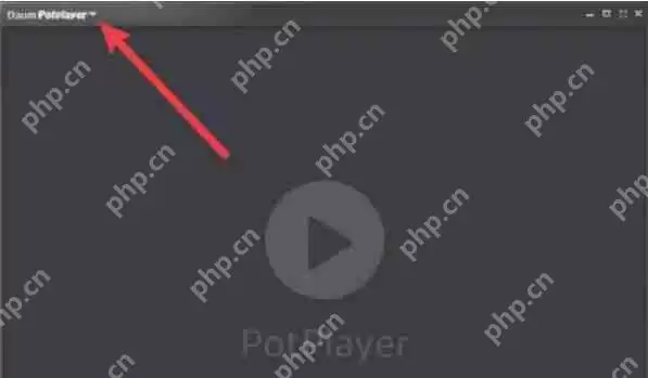 potplayer怎么设置立体声-potplayer设置立体声的方法