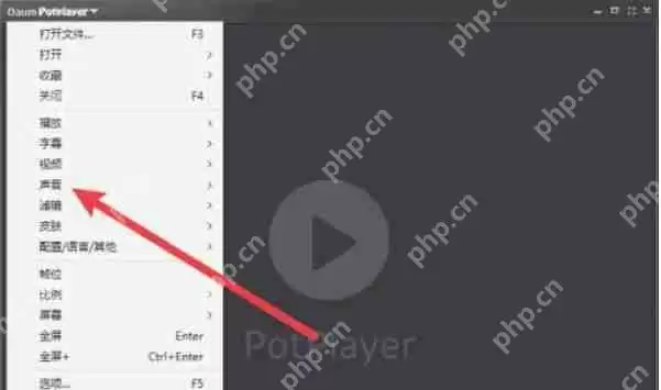 potplayer怎么设置立体声-potplayer设置立体声的方法
