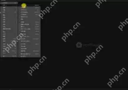 potplayer怎么截取视频片段-potplayer截取视频片段的方法