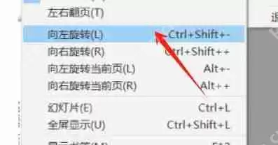 稻壳阅读器怎么设置旋转页面-稻壳阅读器设置旋转页面的方法