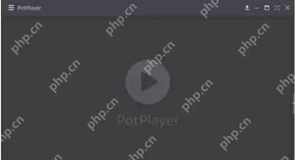 potplayer怎么关闭使用Xlnput-potplayer关闭使用Xlnput的方法