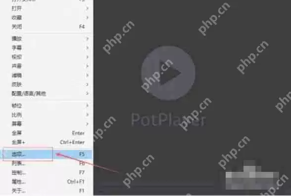 potplayer怎么关闭使用Xlnput-potplayer关闭使用Xlnput的方法