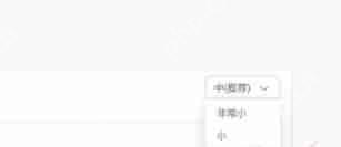 edge浏览器怎么设置字体大小-edge浏览器设置字体大小的方法
