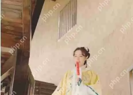 PotPlayer怎么挂载字幕-PotPlayer挂载字幕的方法