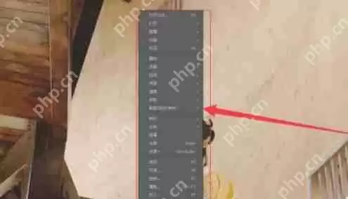 PotPlayer怎么挂载字幕-PotPlayer挂载字幕的方法