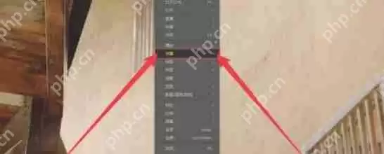 PotPlayer怎么挂载字幕-PotPlayer挂载字幕的方法
