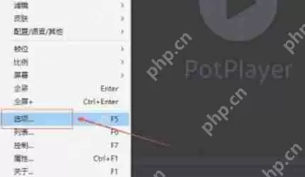 potplayer怎么使用高品质平滑滤镜-potplayer使用高品质平滑滤镜的方法