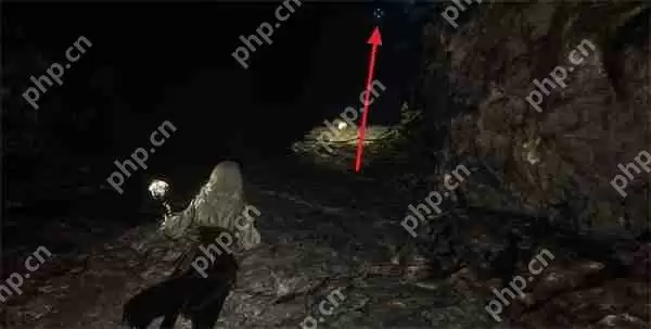 光与影 33 号远征队繁叶结获取攻略：阴森洞穴寻宝指南