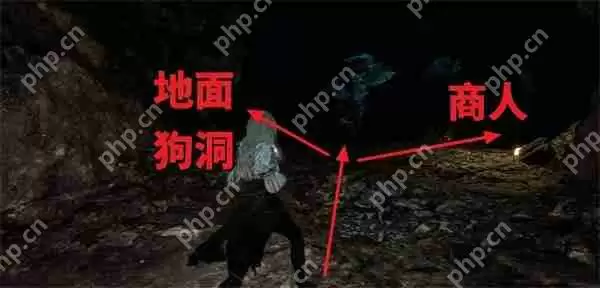 光与影 33 号远征队繁叶结获取攻略：阴森洞穴寻宝指南