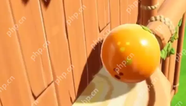 元梦之星躲猫猫无敌点位在哪