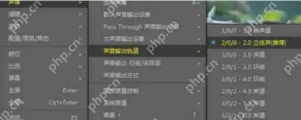 PotPlayer怎么调整音轨-PotPlayer调整音轨的方法