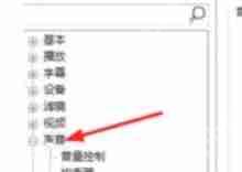 PotPlayer怎么调整音轨-PotPlayer调整音轨的方法