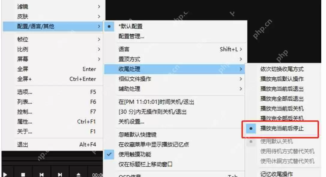 PotPlayer怎么设置定时关机-PotPlayer设置定时关机的方法