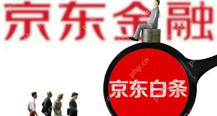 京东白条找不到还款入口 京东白条还款入口找不到怎么办