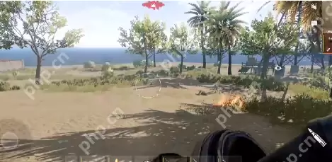 失控进化武器系统全面解析：荒岛求生最强武器指南