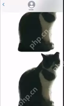 ios16照片怎么抠图