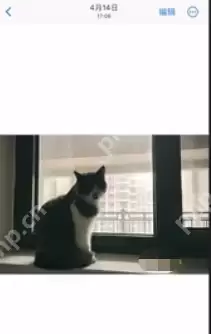 ios16照片怎么抠图