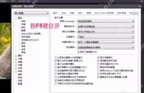 potplayer怎么设置最前端-potplayer设置最前端的方法