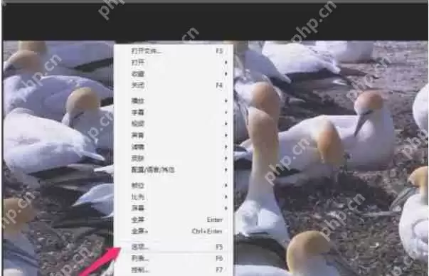 potplayer怎么设置最前端-potplayer设置最前端的方法