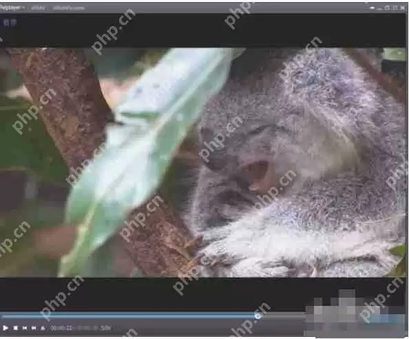 potplayer怎么设置最前端-potplayer设置最前端的方法