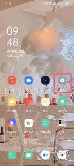 oppo手机安装权限设置在哪里