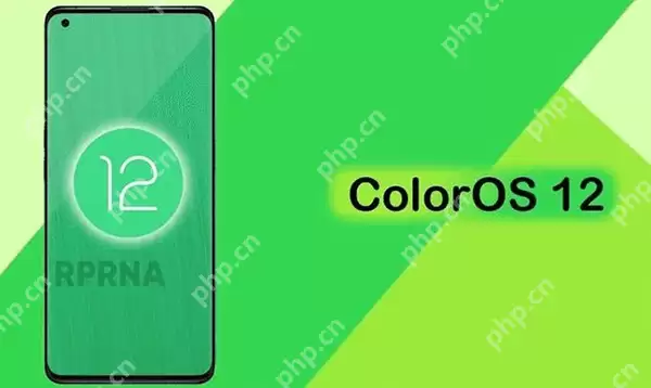 COlorOS12什么时候出