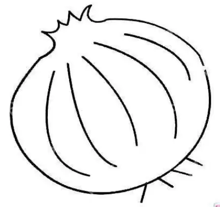 qq画图红包洋葱怎么画？QQ画图红包所有图案画法汇总