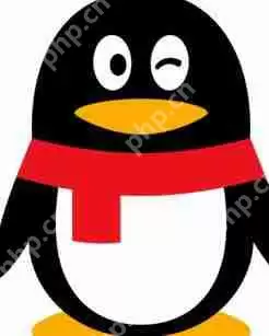 在QQ里怎么转让群主？QQ里转让群主的操作流程分享